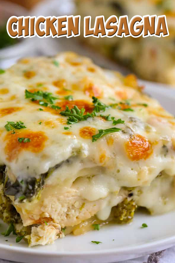 Easy Low Fat Chicken Lasagna Recipe Genius Kitchen - Rezfoods - Resep ...