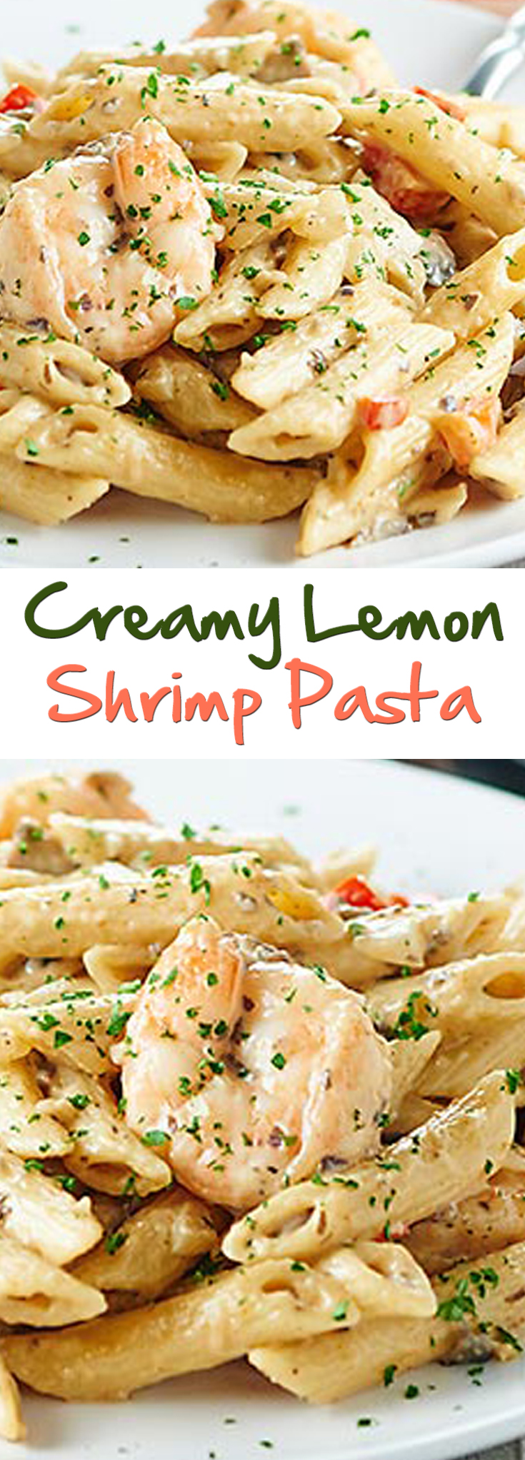 Creamy Lemon Shrimp Pasta