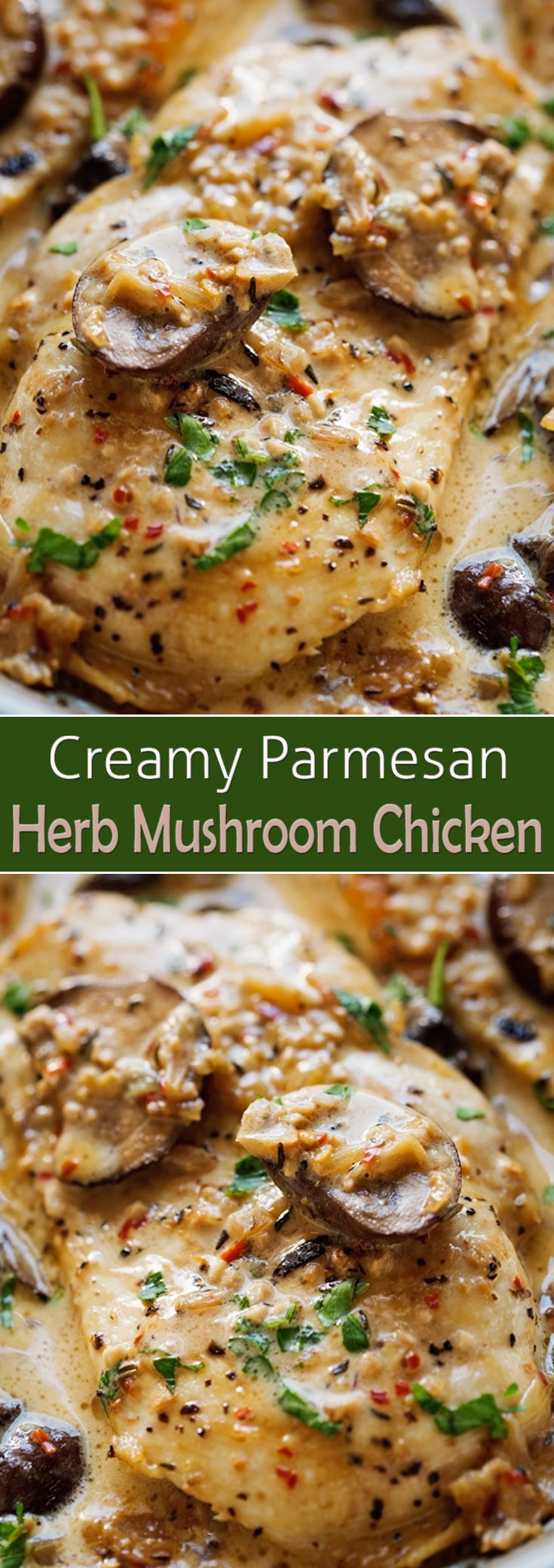 Creamy Parmesan Herb Mushroom Chicken