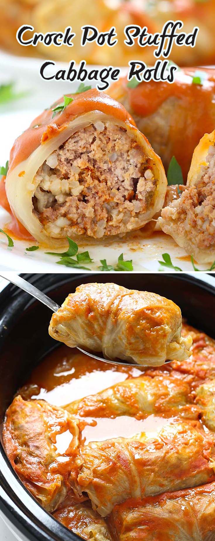 Instant Pot Stuffed Cabbage Order Online, Save 41% | jlcatj.gob.mx