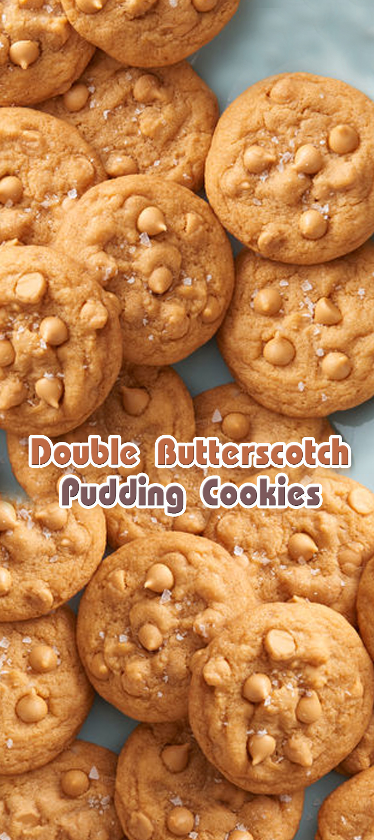 Double Butterscotch Pudding Cookies