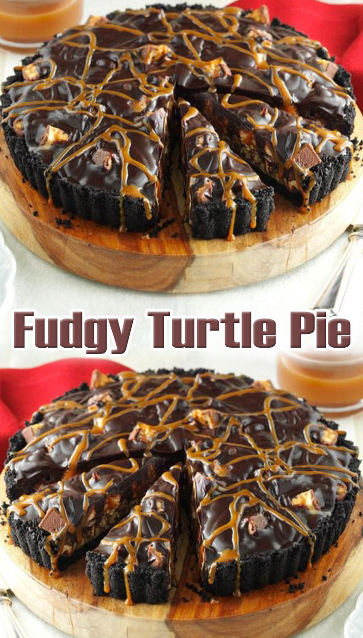 fudgy-turtle-pie