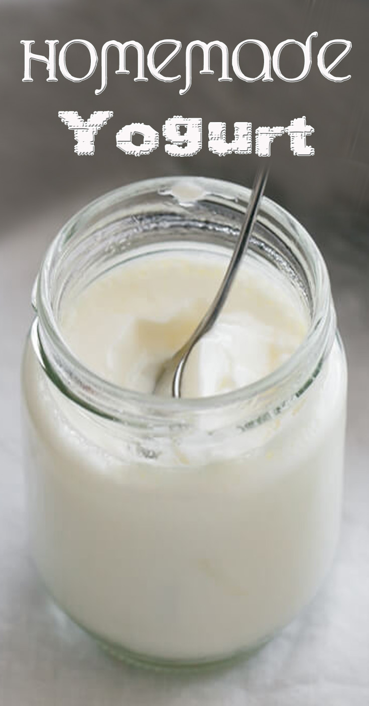 Homemade Yogurt 