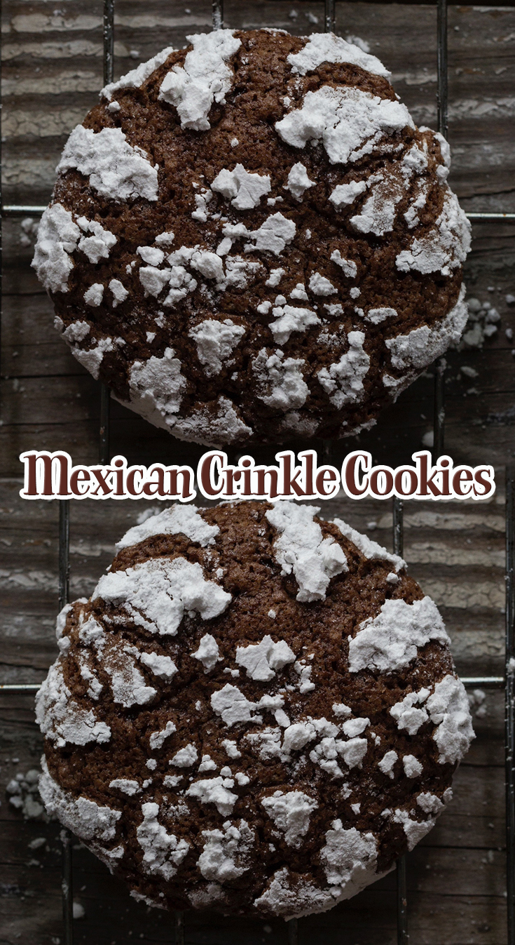 Mexican Crinkle Cookies