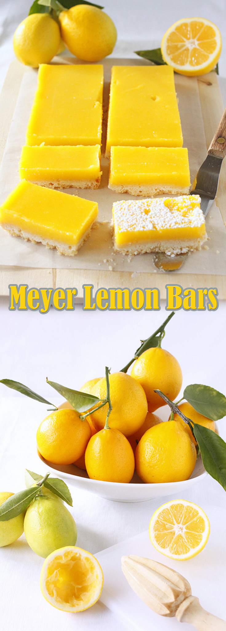 Meyer Lemon Bars r2