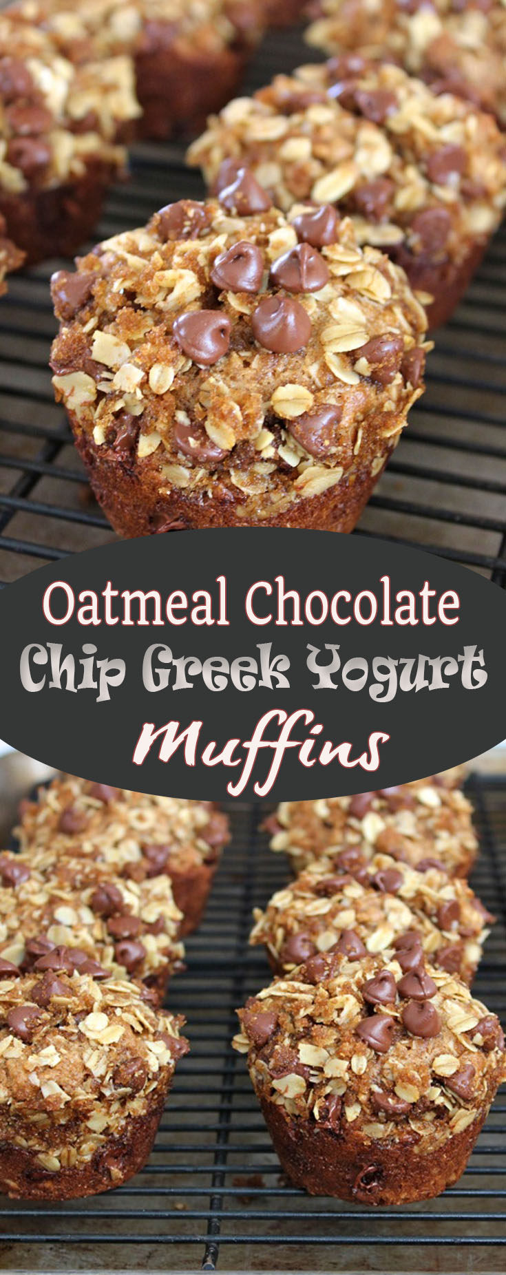 Oatmeal Chocolate Chip Greek Yogurt Muffins