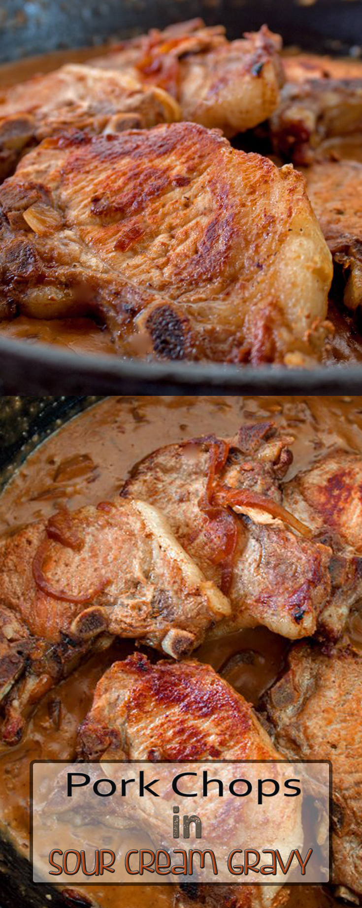 Pork Chops in Sour Cream Gravy