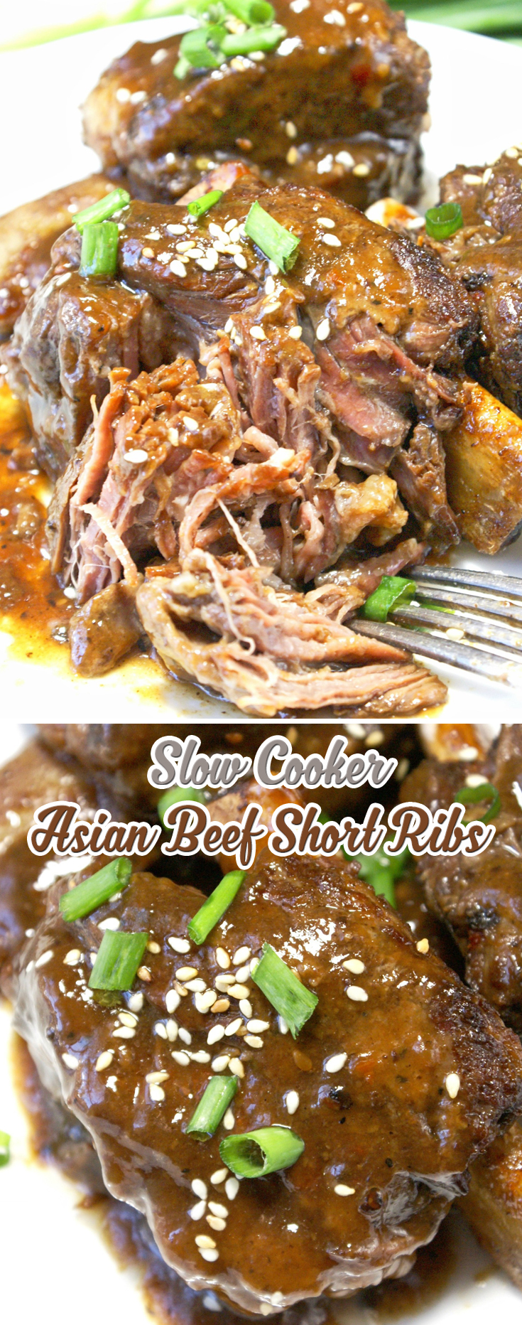 Slow Cooker Asian Beef Short Ribs
