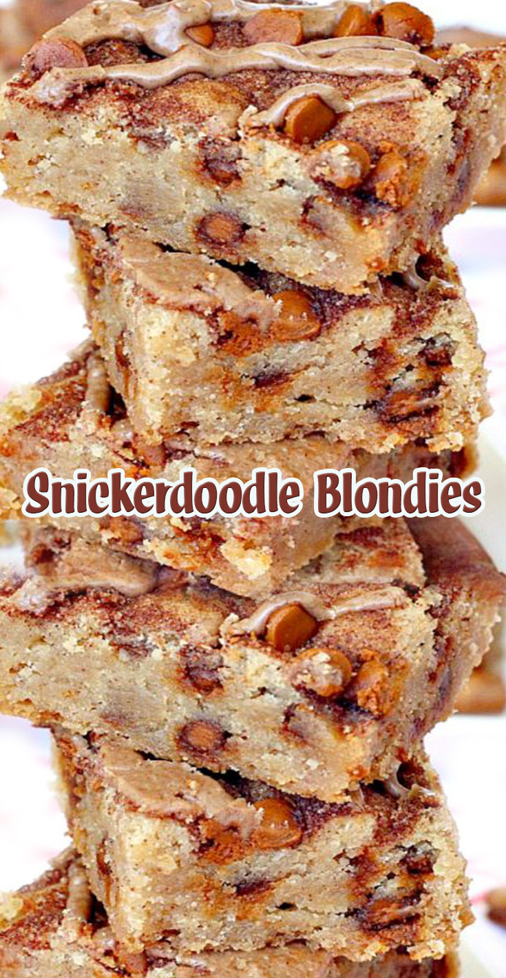 Snickerdoodle Blondies Recipe 