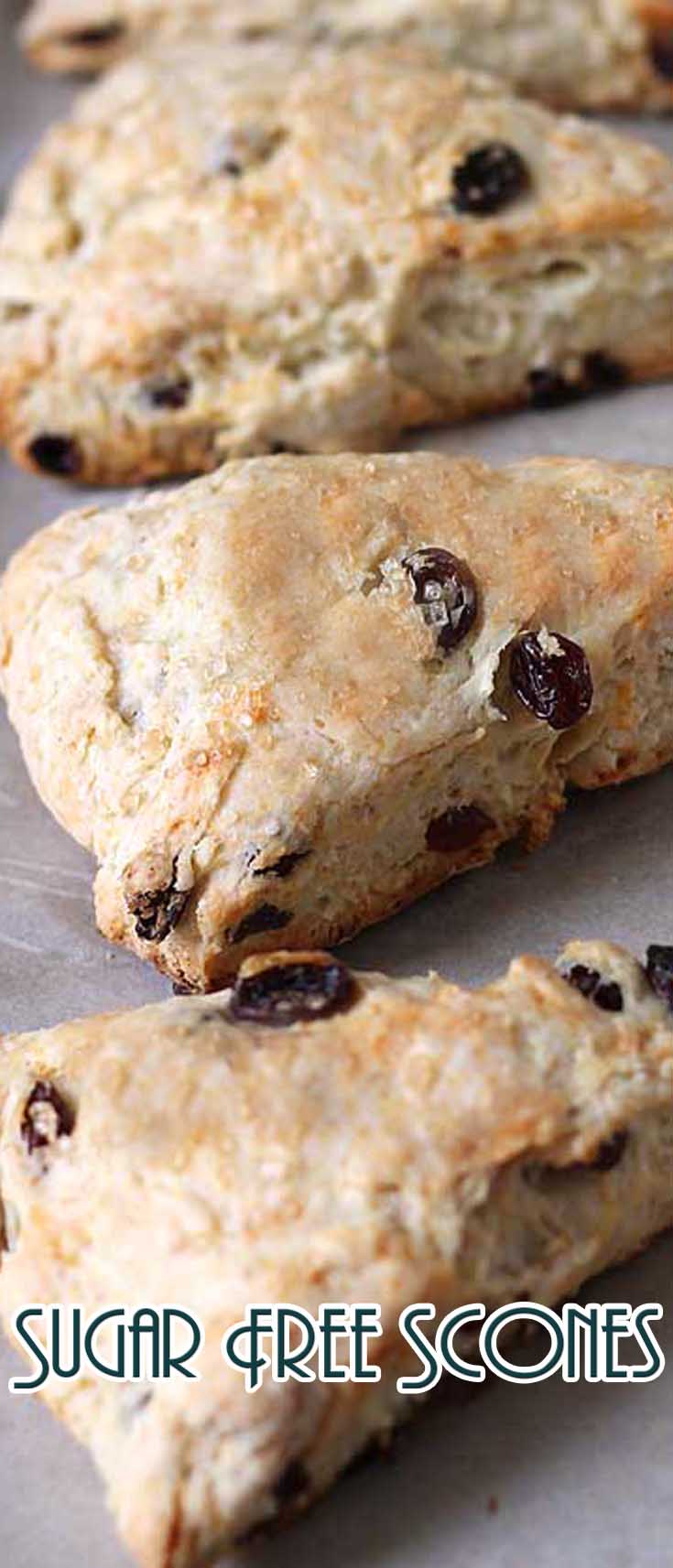 Sugar Free Scones