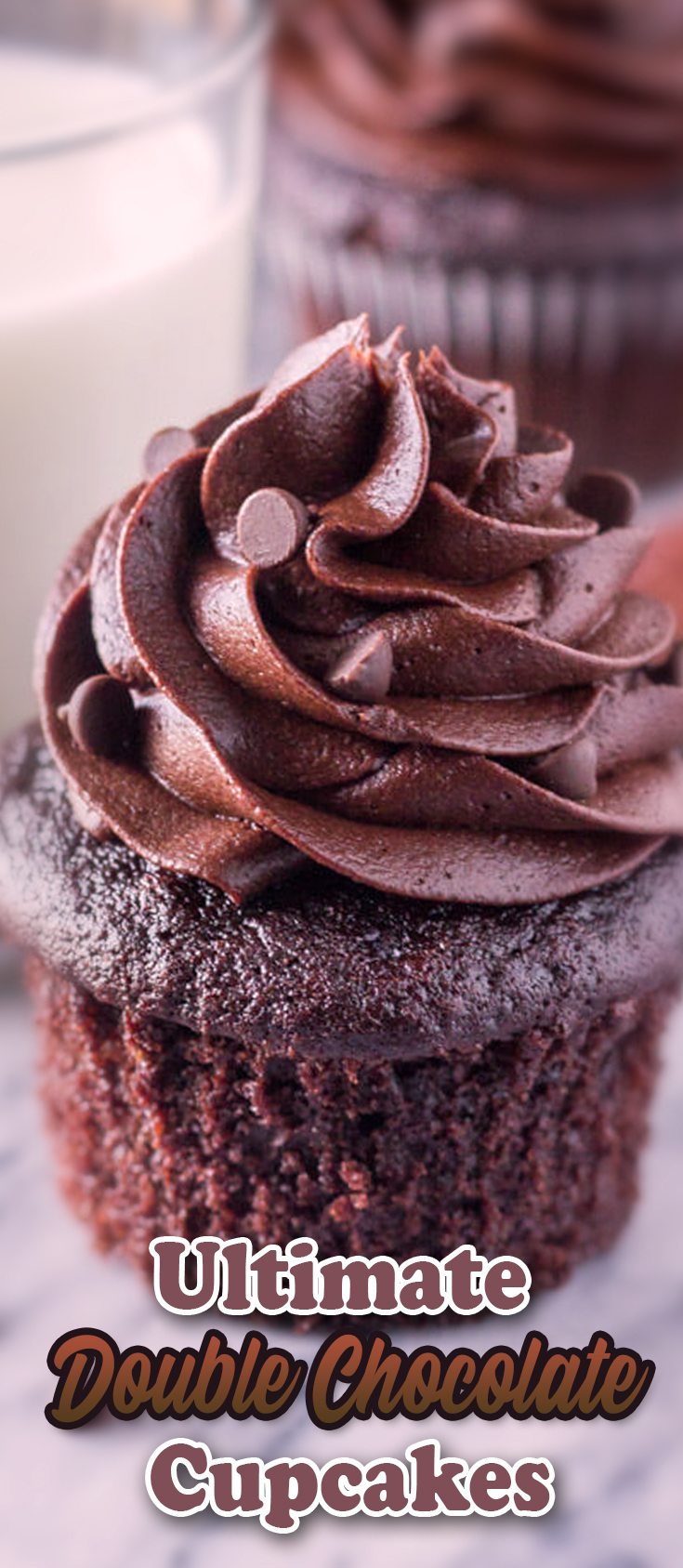 Ultimate Double Chocolate Cupcakes