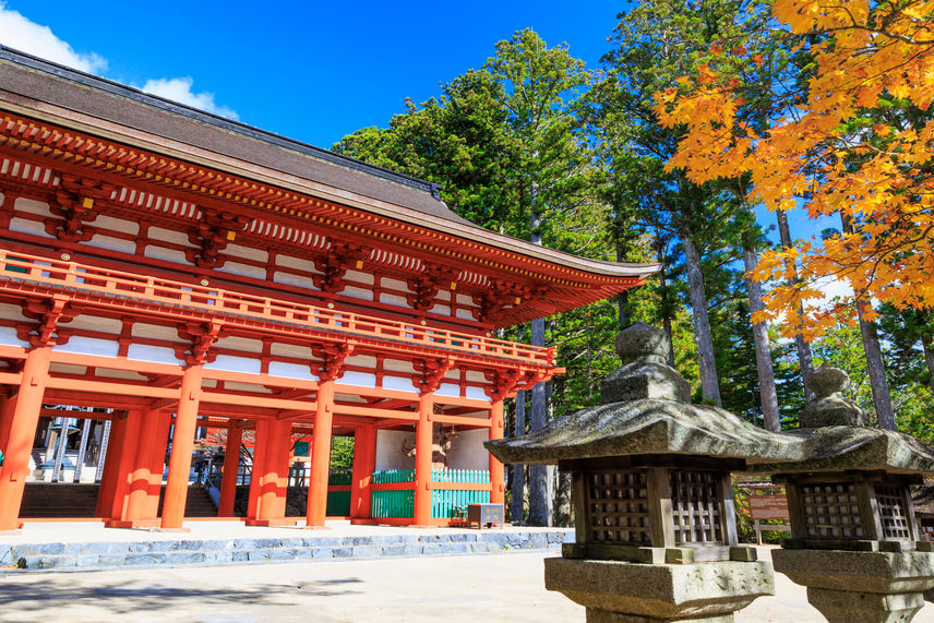 超レア】大峯神社「九重守」2020年6月21日拝受 - その他