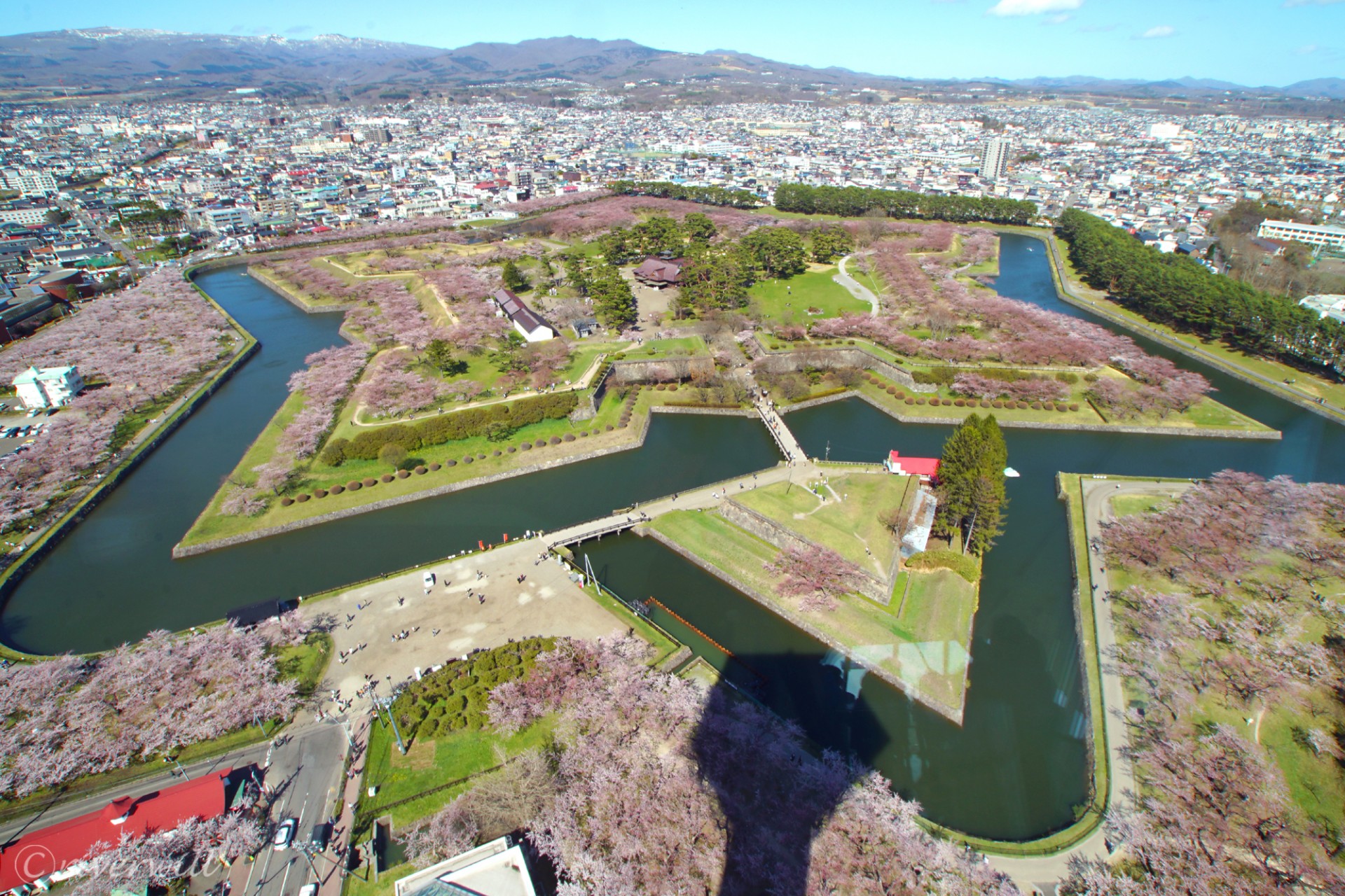 五稜郭タワー 北海道の桜の名所といえば やはり函館 五稜郭