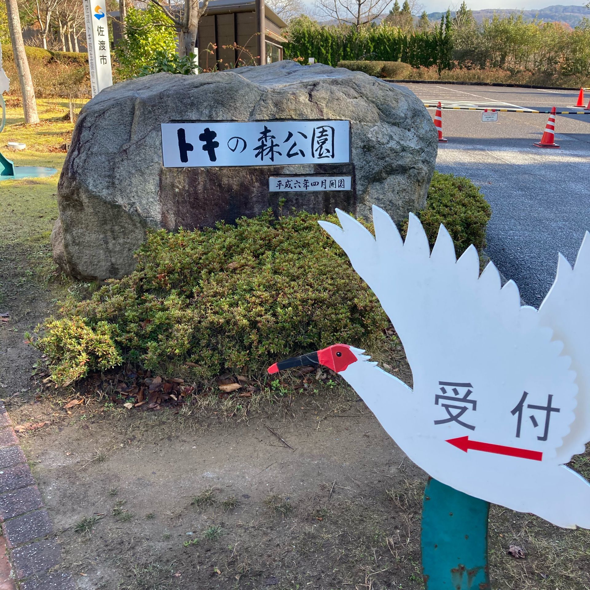 トキの森公園 絶滅危惧種のトキがいっぱい