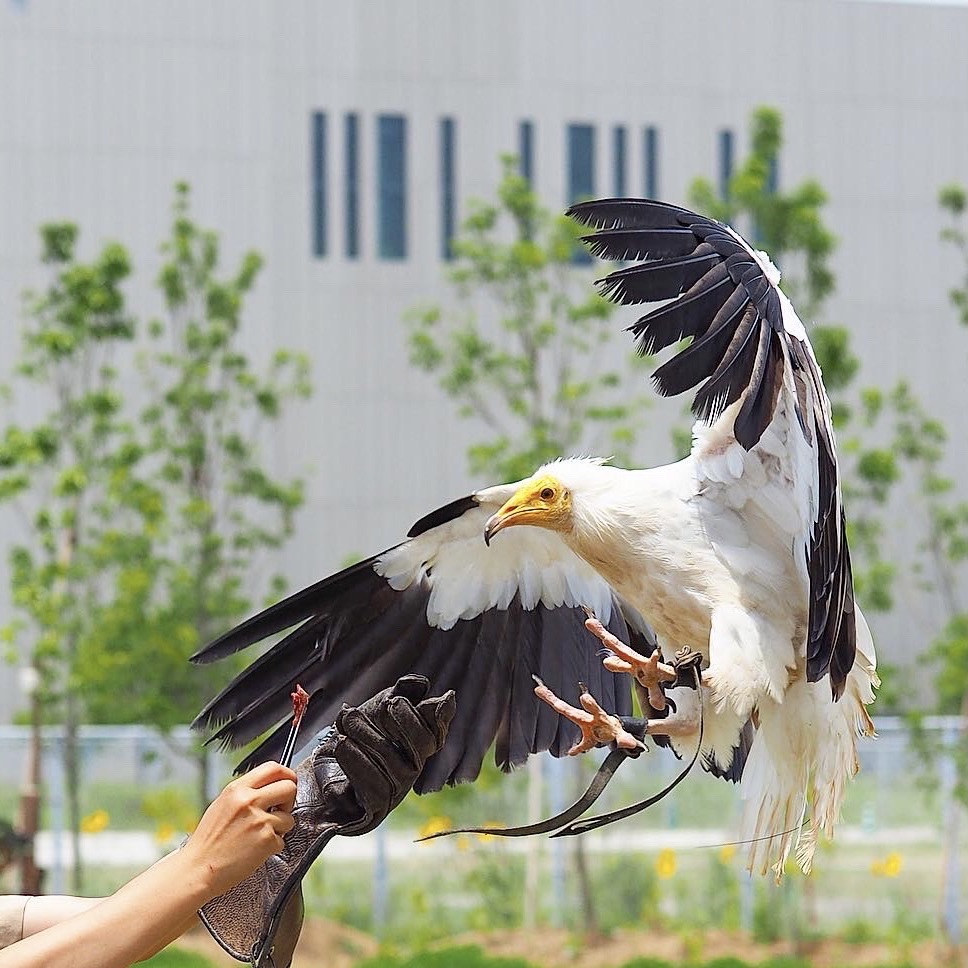 神戸どうぶつ王国 近すぎて楽しい 豊富なえさやり体験で動物と間近で触れ合える神戸の動植物園 Recotrip レコトリップ