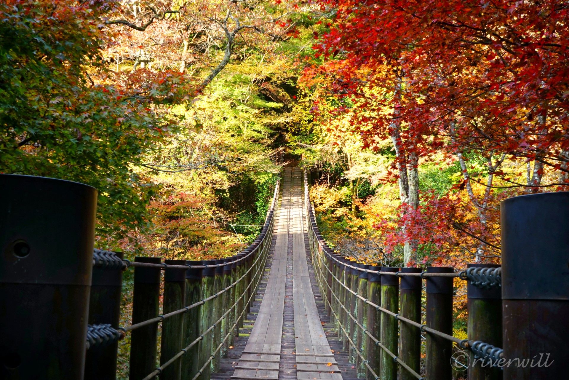 花貫渓谷 渓谷にかかる吊り橋からの眺めが絶景 茨城屈指の紅葉の名所 Recotrip レコトリップ