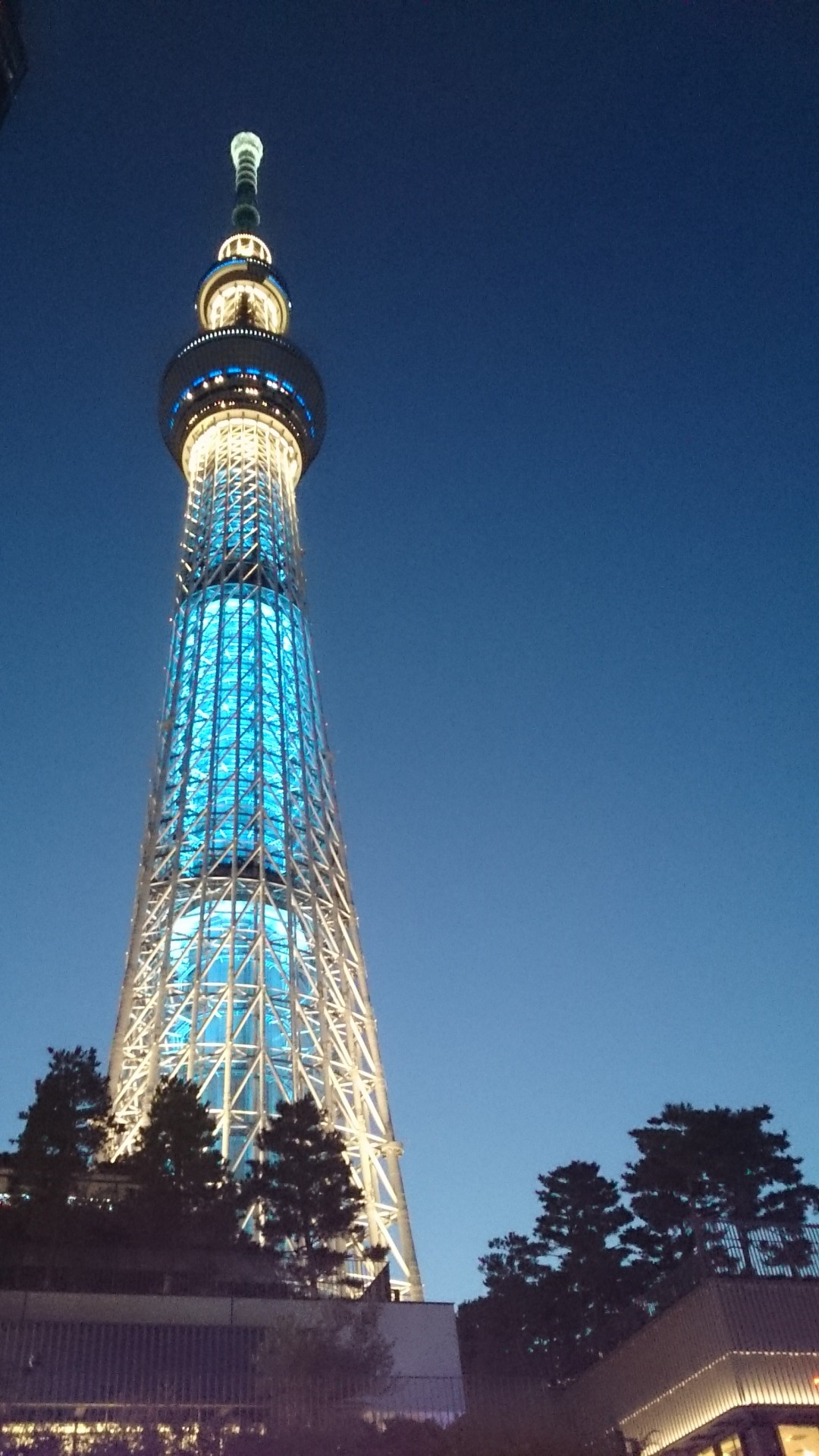 東京スカイツリー 東京都 東京の夜景と言えば今や東京スカイツリー