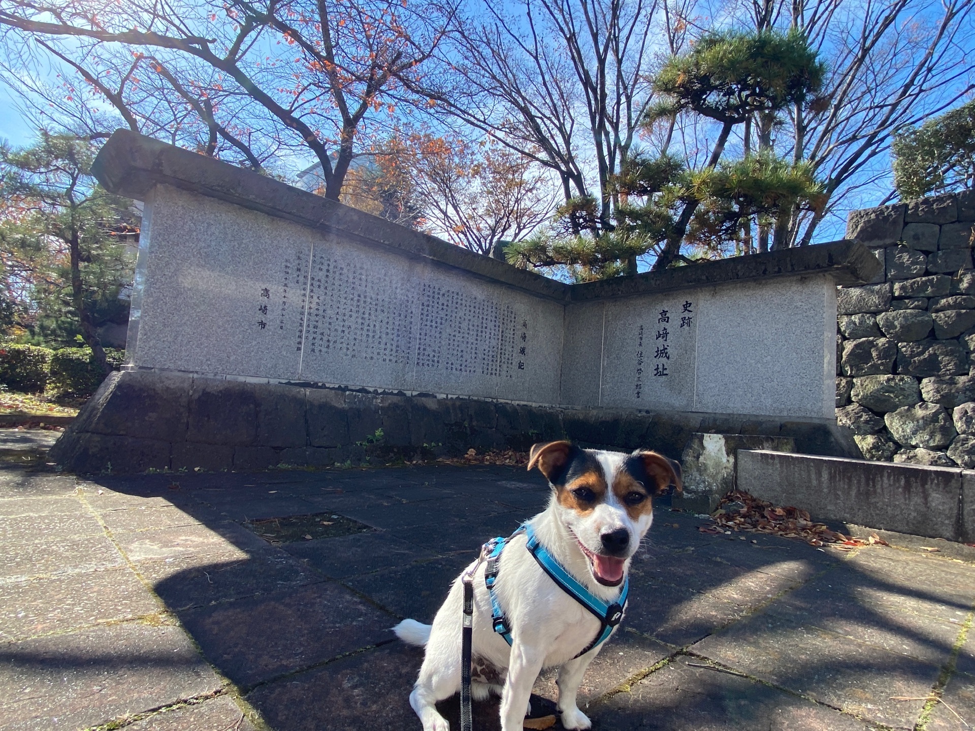 高崎城址公園 地元のお城 跡を攻めました