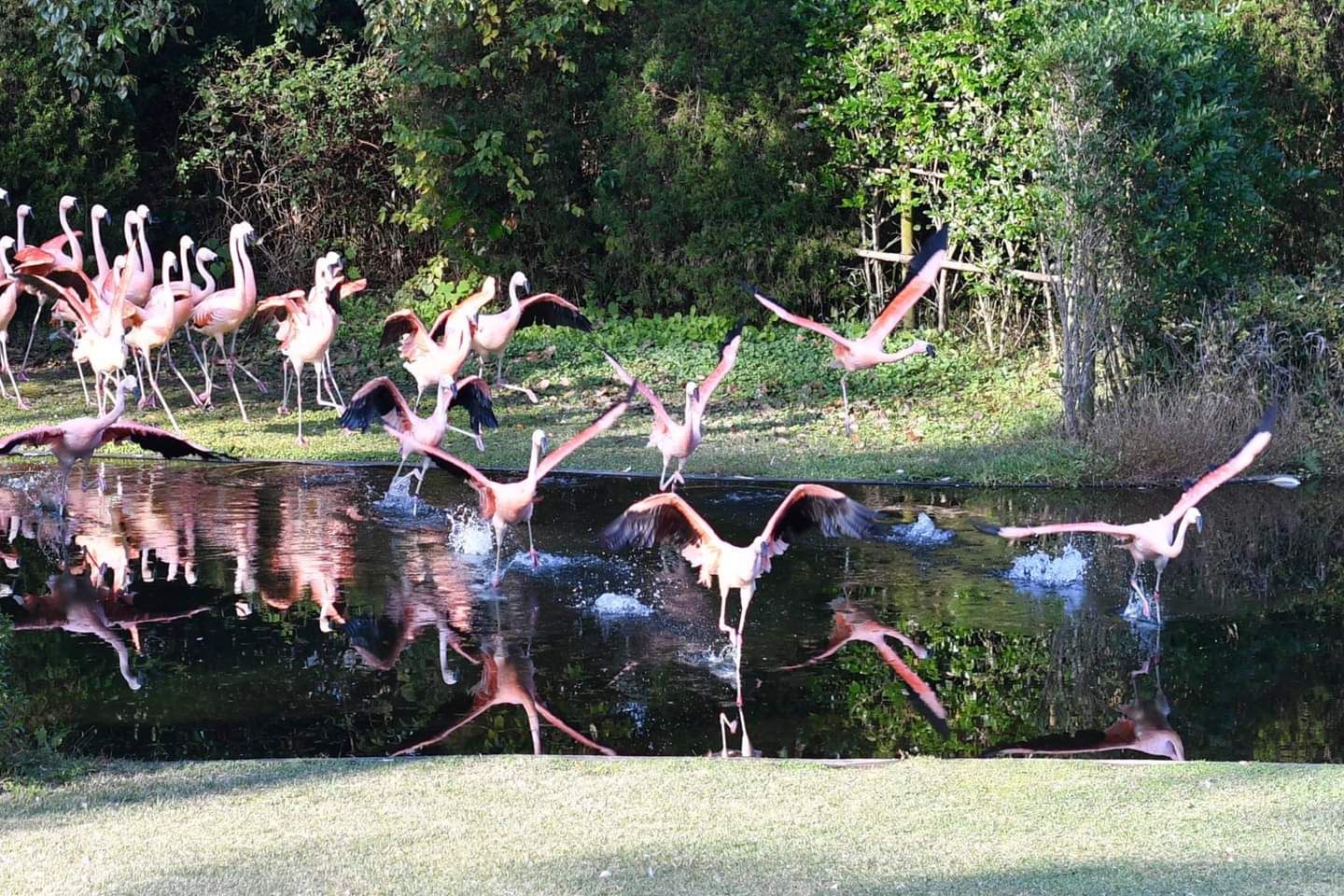 22年 宮崎市フェニックス自然動物園の口コミ 写真 アクセス Recotrip レコトリップ