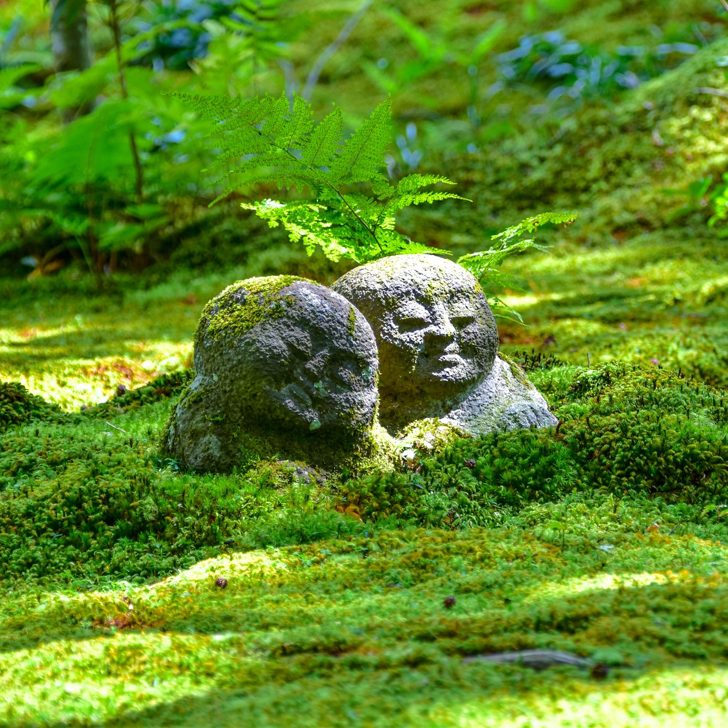 三千院（天台宗・京都大原）『苔の中のわらべ地蔵さま✨』