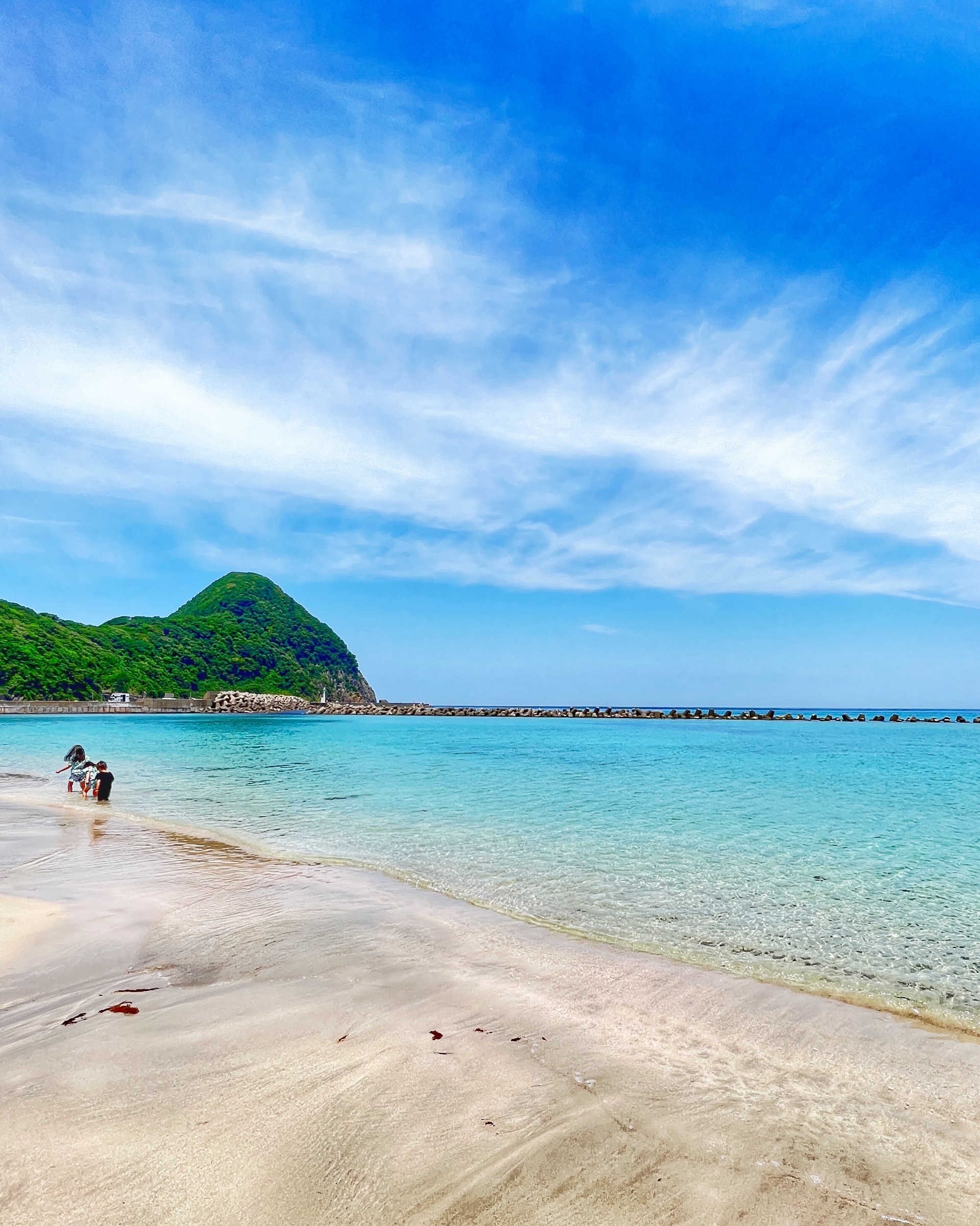 ●戦前絵葉書●竹野浜海水浴紀念 賀島公園遠望 竹野浜古図 田能村直入翁竹野浜之図 兵庫県●古写真 郷土資料 地誌 観光