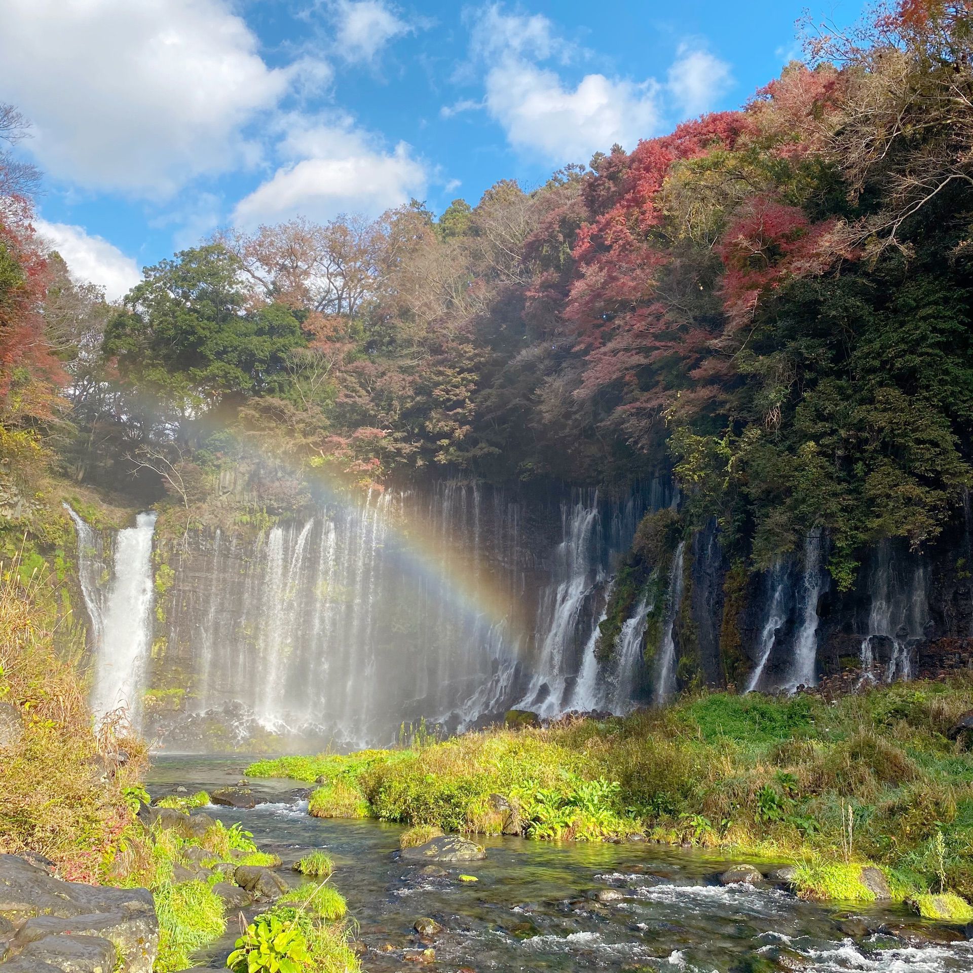 白糸の滝 静岡 明治 天然記念物 白糸の滝