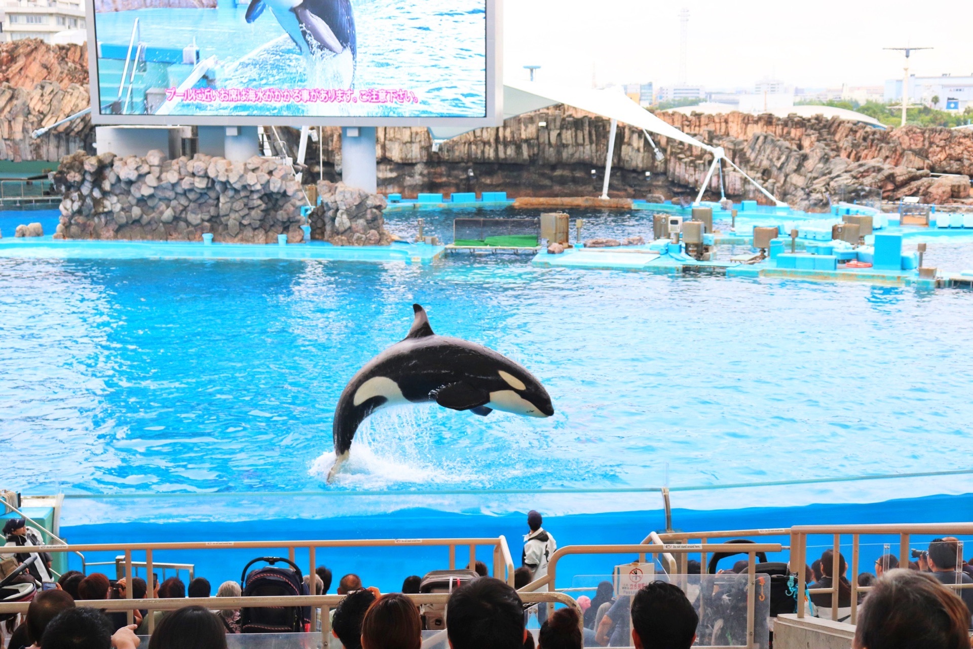 名古屋港水族館 癒しがいっぱい 愛知の名古屋港水族館