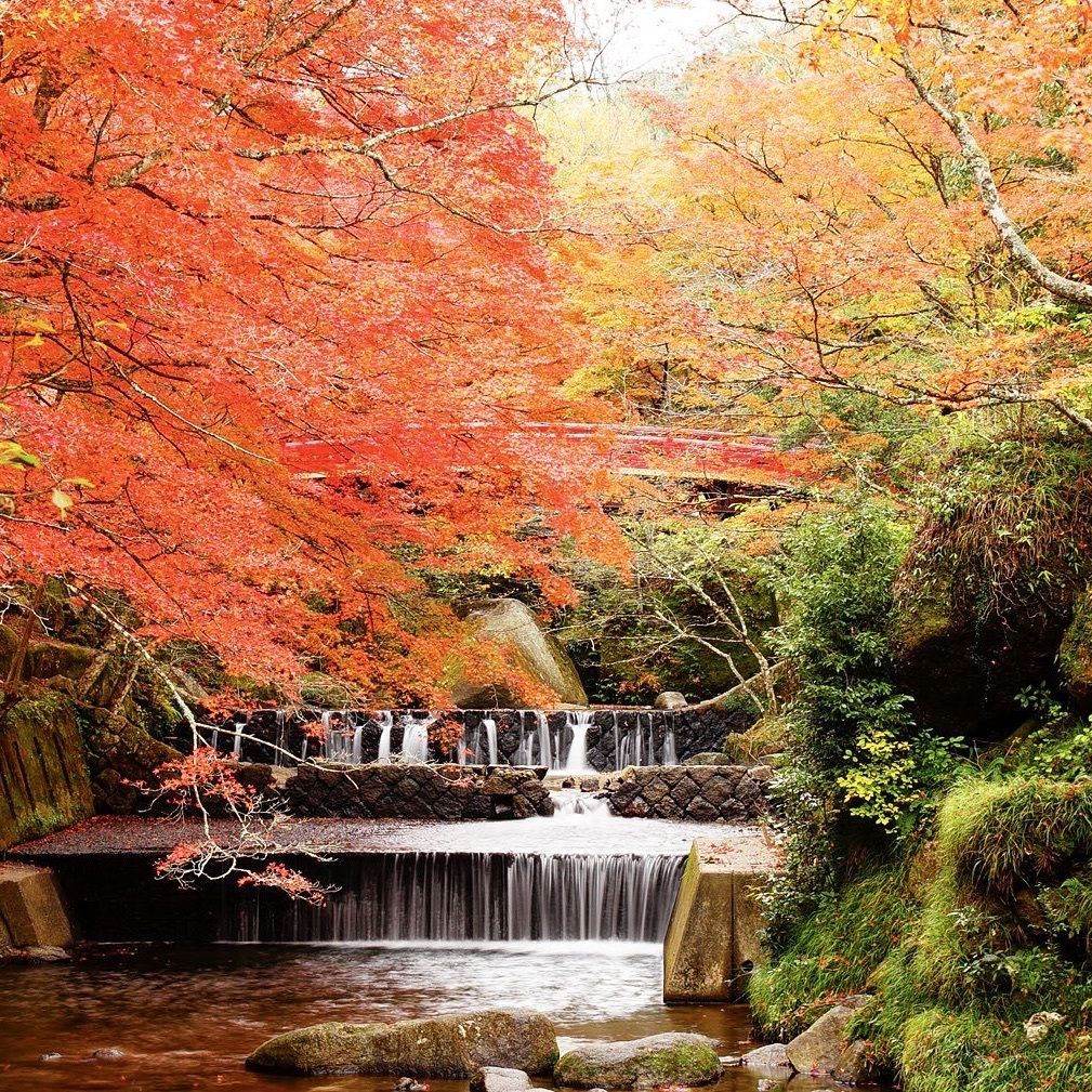 岩屋堂公園 秋の紅葉が絶景 バーベキューに川遊びも楽しい 自然豊かな公園 Recotrip レコトリップ