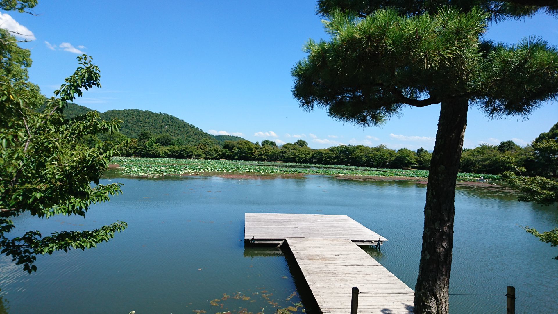 旧嵯峨御所 大本山大覚寺『嵯峨野といえばここ!!』