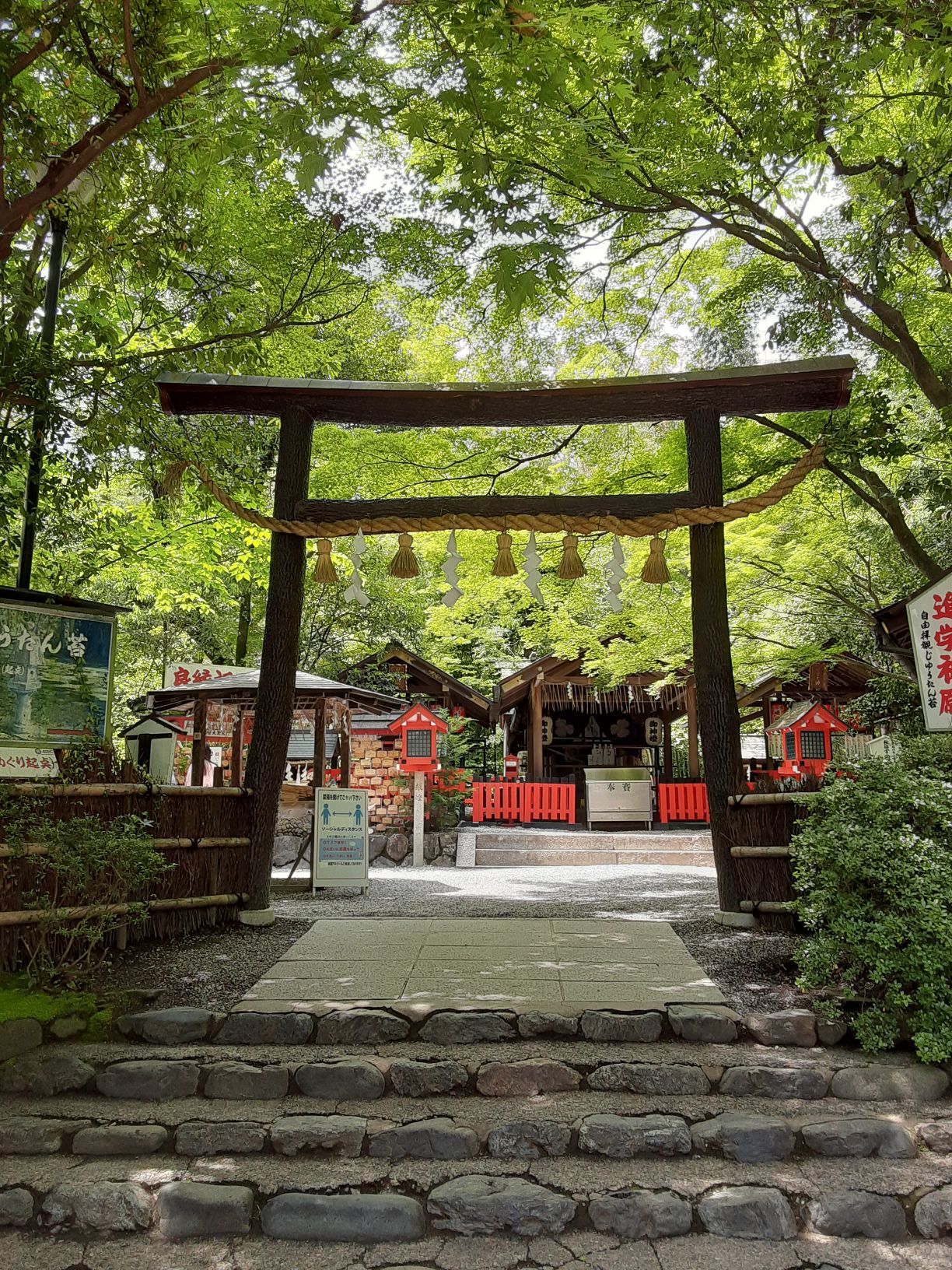 野宮神社 竹林の中に佇む縁結びの神様 源氏物語でも語られるパワースポット寺 Recotrip レコトリップ