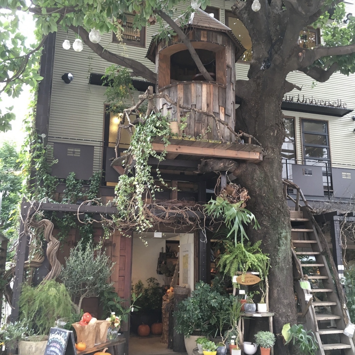 レ グラン ザルブル ドラマの撮影にも使われたツリーハウスのあるカフェ