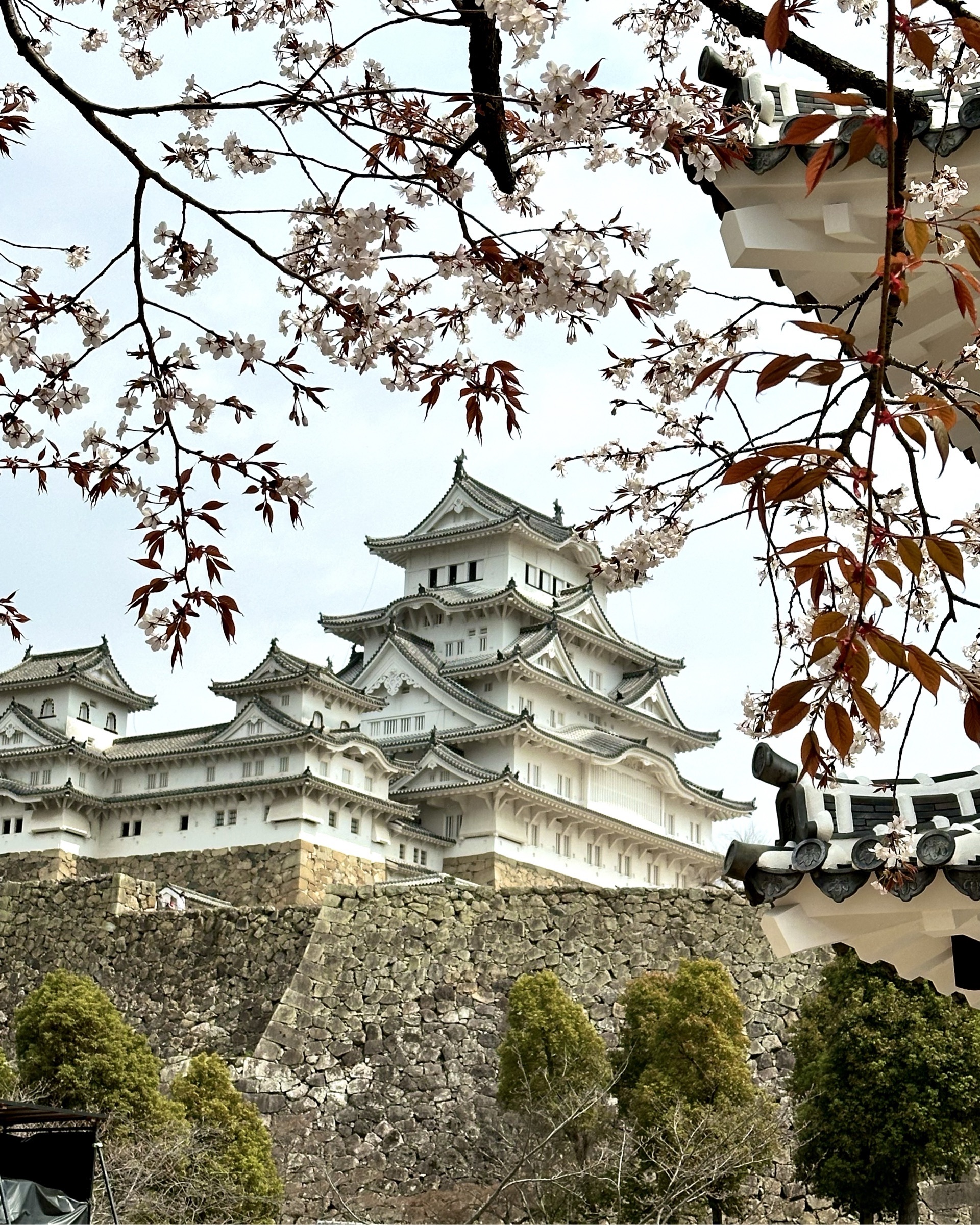 姫路城『世界遺産に認定された白壁美しい 別名「白鷺城」』