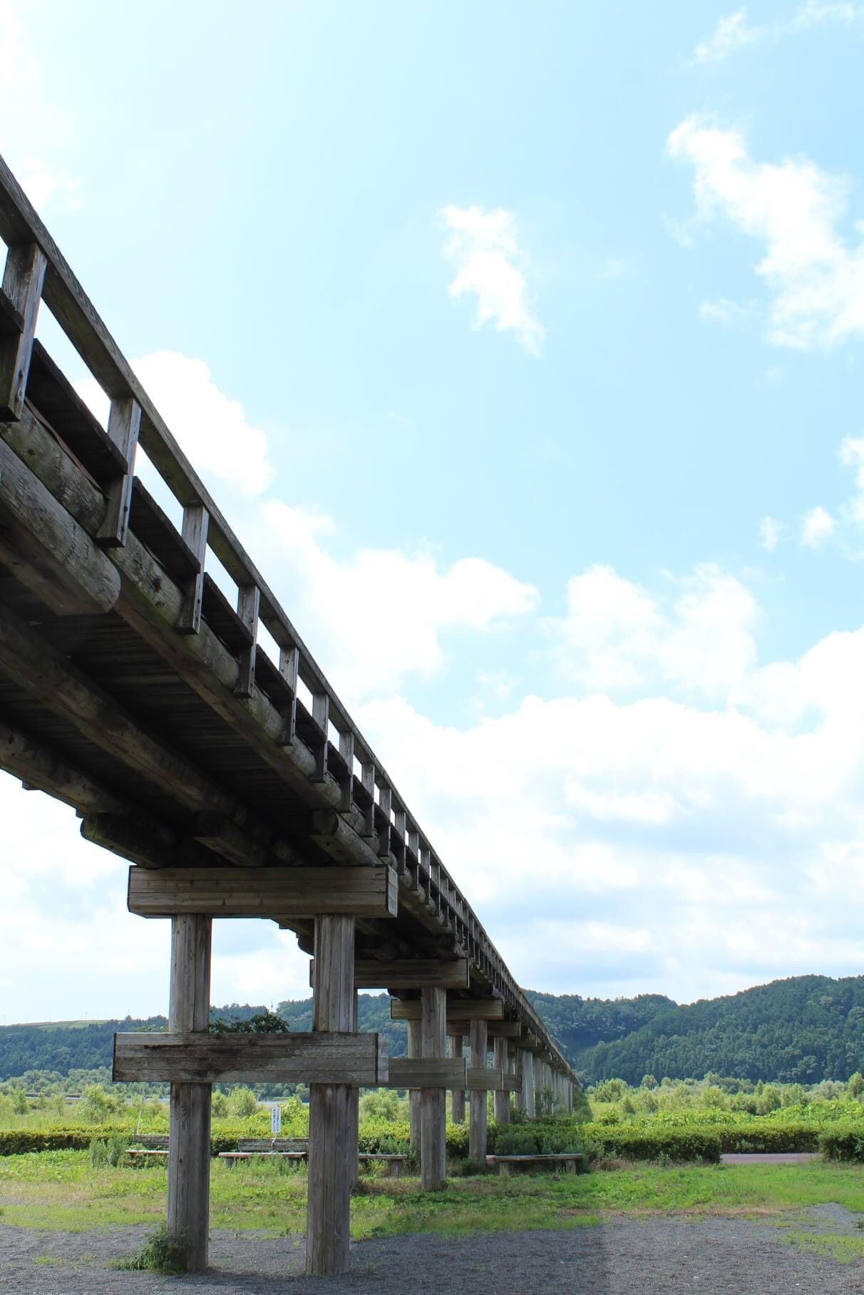 蓬莱橋 静岡県 世界一の木造歩道橋