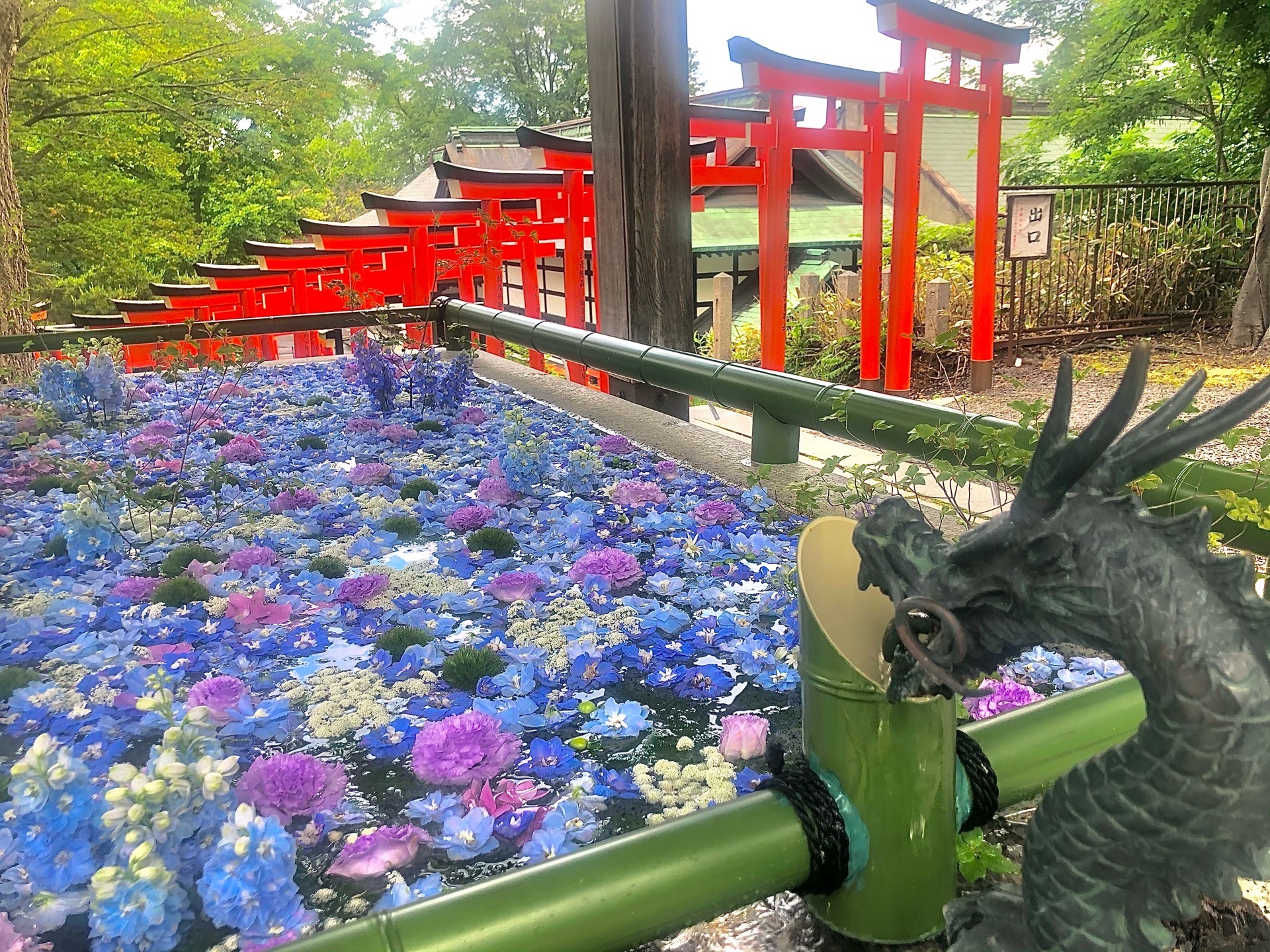 小樽総鎮守 住吉神社 鮮やかな千本鳥居が美しい 花手水期間中は見逃せない鮮やかで可愛いフォトスポット Recotrip レコトリップ