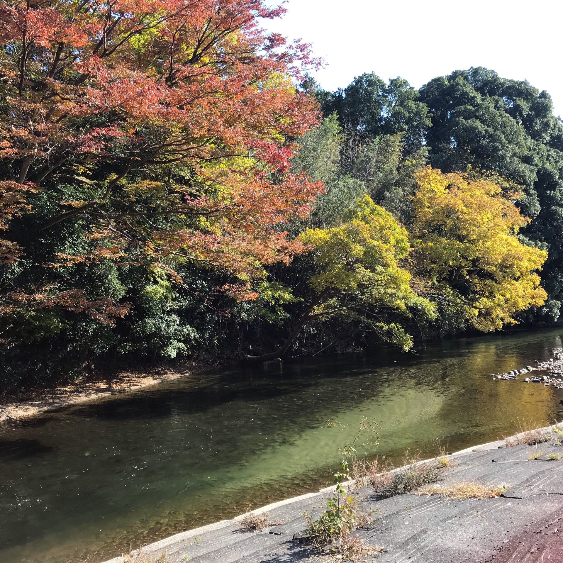 春友彫刻の森運動公園の口コミ 写真 アクセス Recotrip レコトリップ