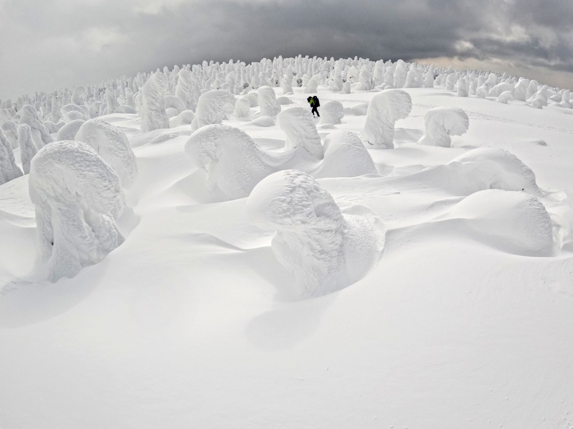 蔵王温泉スキー場 狙うは快晴 山形の樹氷