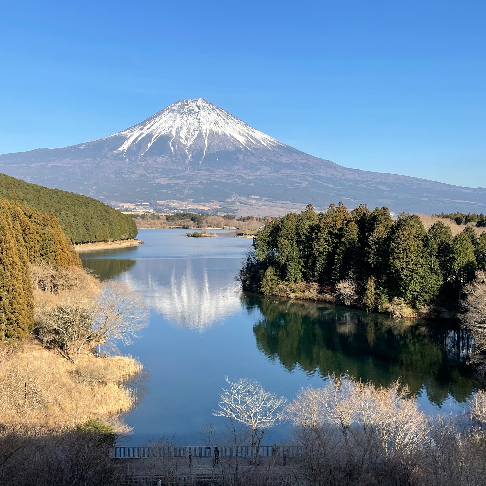 田貫湖 ダイヤモンド富士を拝めるチャンス ダイナミックな富士山を満喫できる湖 Recotrip レコトリップ