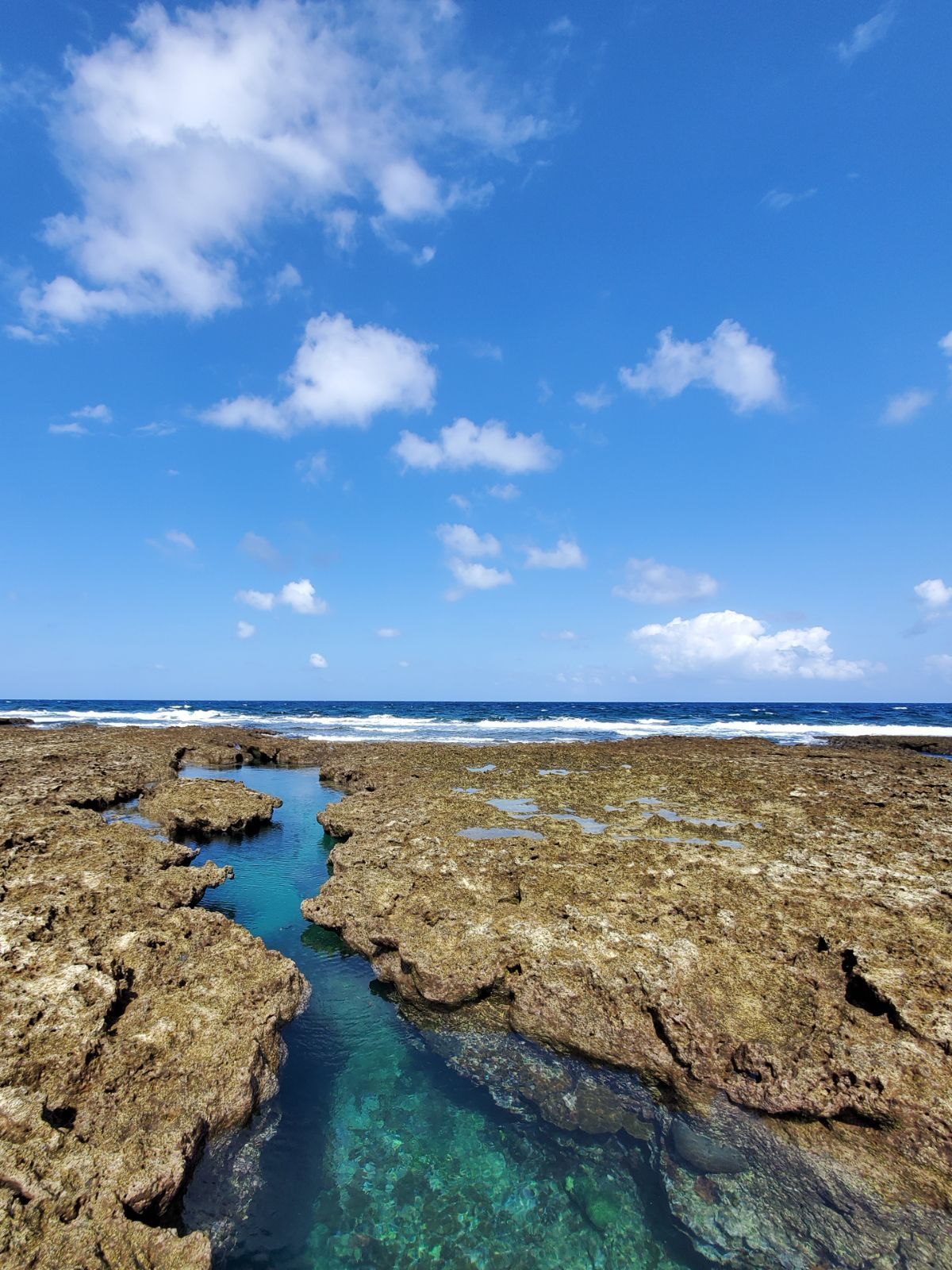 熱帯魚の家 久米島の自然が生んだ 天然の水族館 時間を忘れて眺めてしまうタイドプール Recotrip レコトリップ