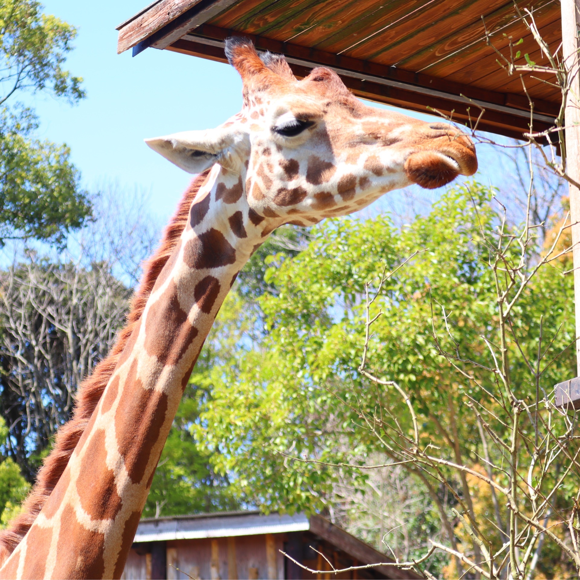 長崎バイオパーク 動物と近くで触れ合える動物園