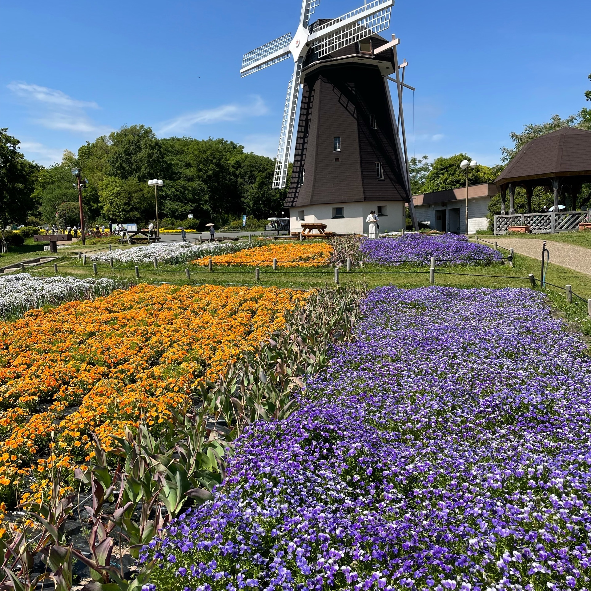 22年 花博記念公園 鶴見緑地 風車のある風景 ピクニックやバーベキューが楽しめる大阪の巨大公園 Recotrip レコトリップ