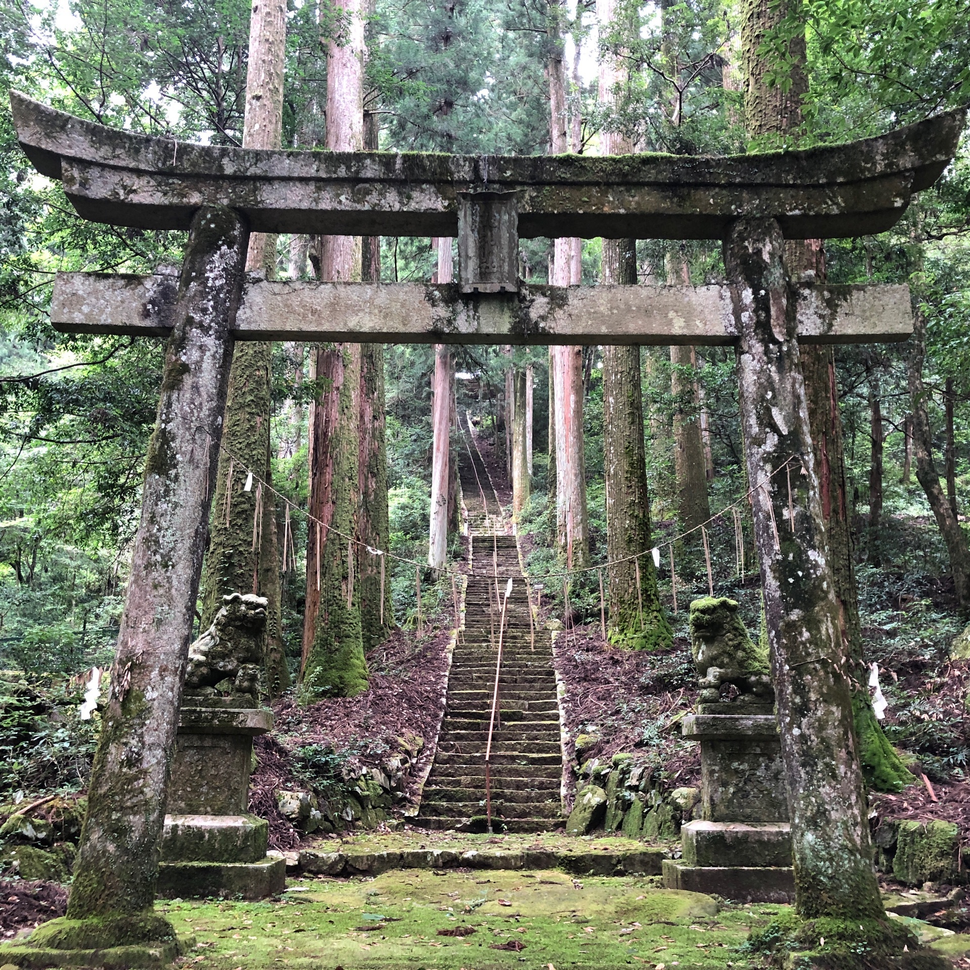 22年 瀧神社の口コミ 写真 アクセス Recotrip レコトリップ