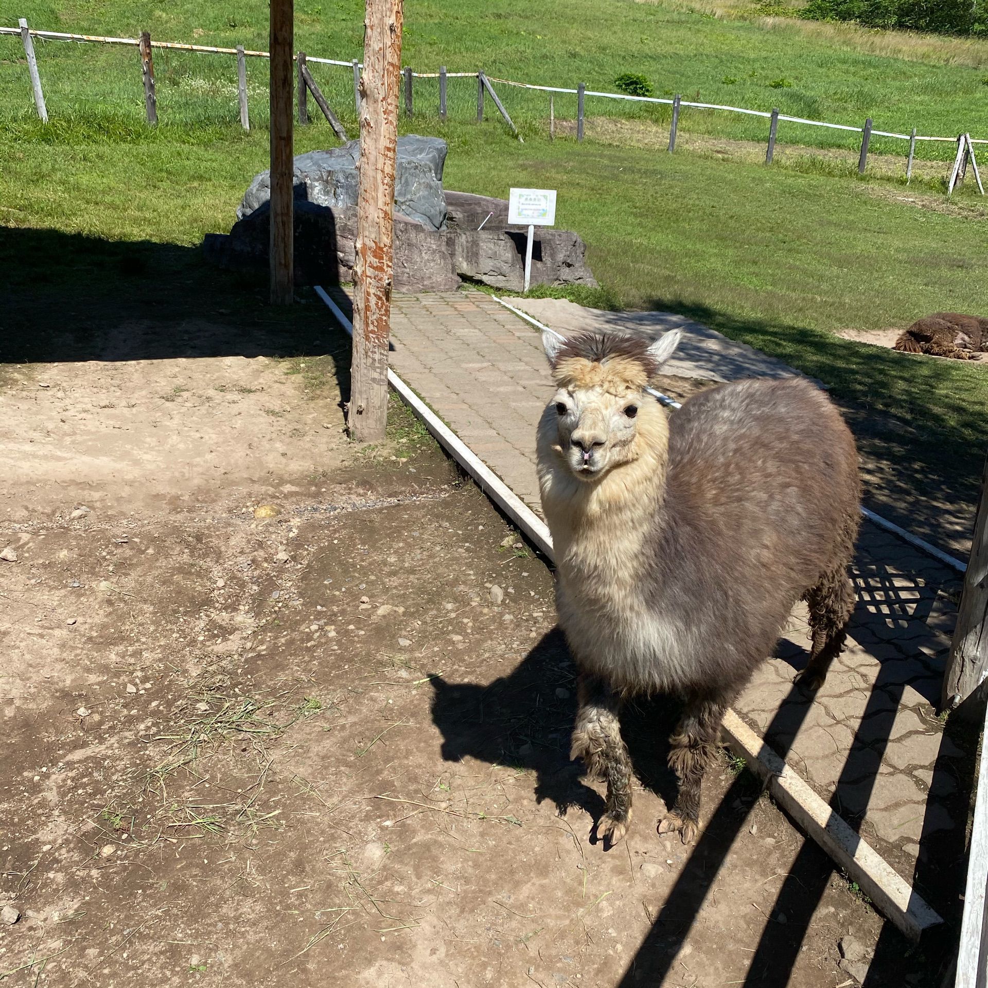 21年 北海道 動物園の観光スポットランキング 1ページ目