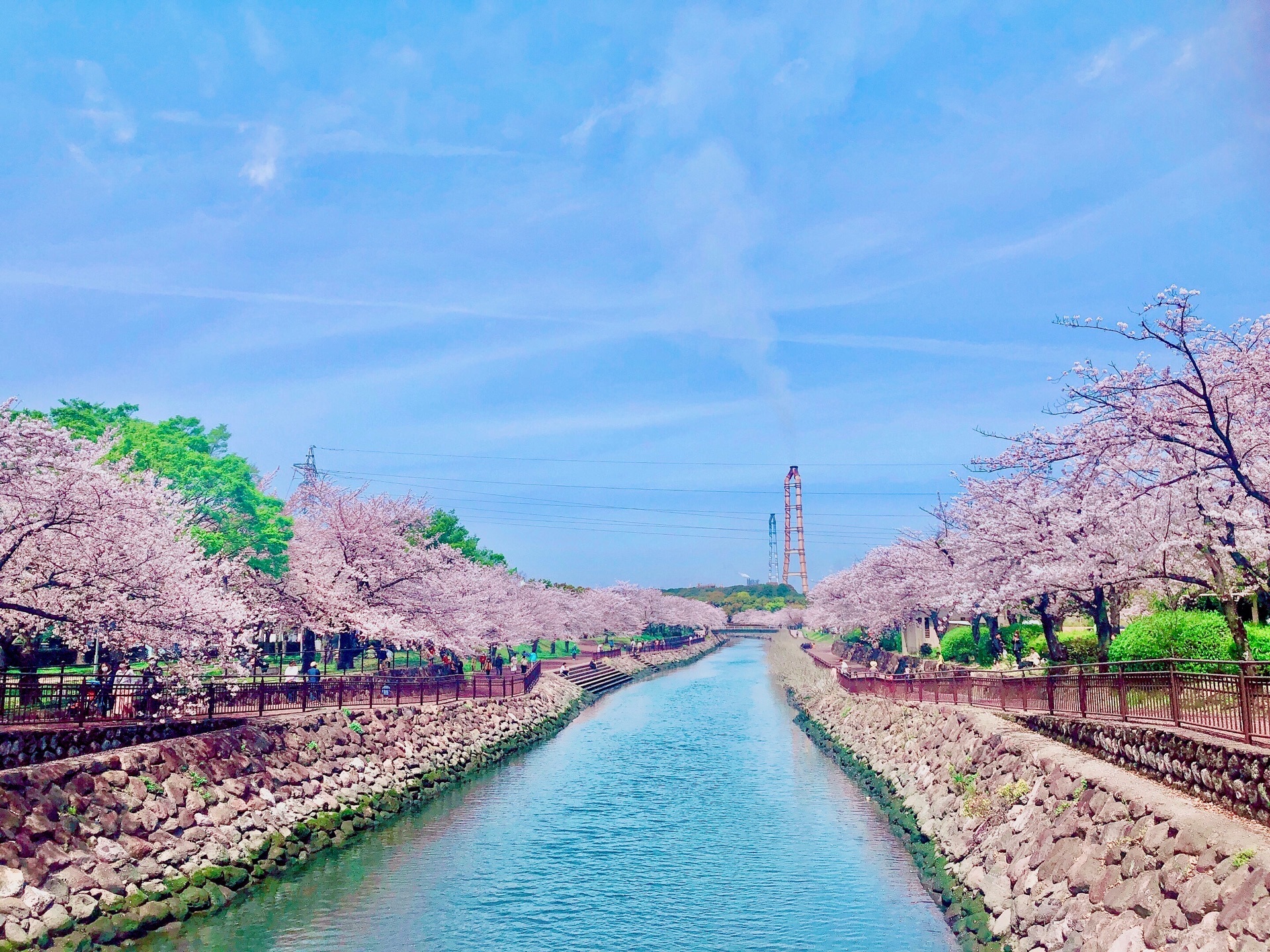 22年 大分県の絶景 春 家族にオススメ 観光スポットランキング