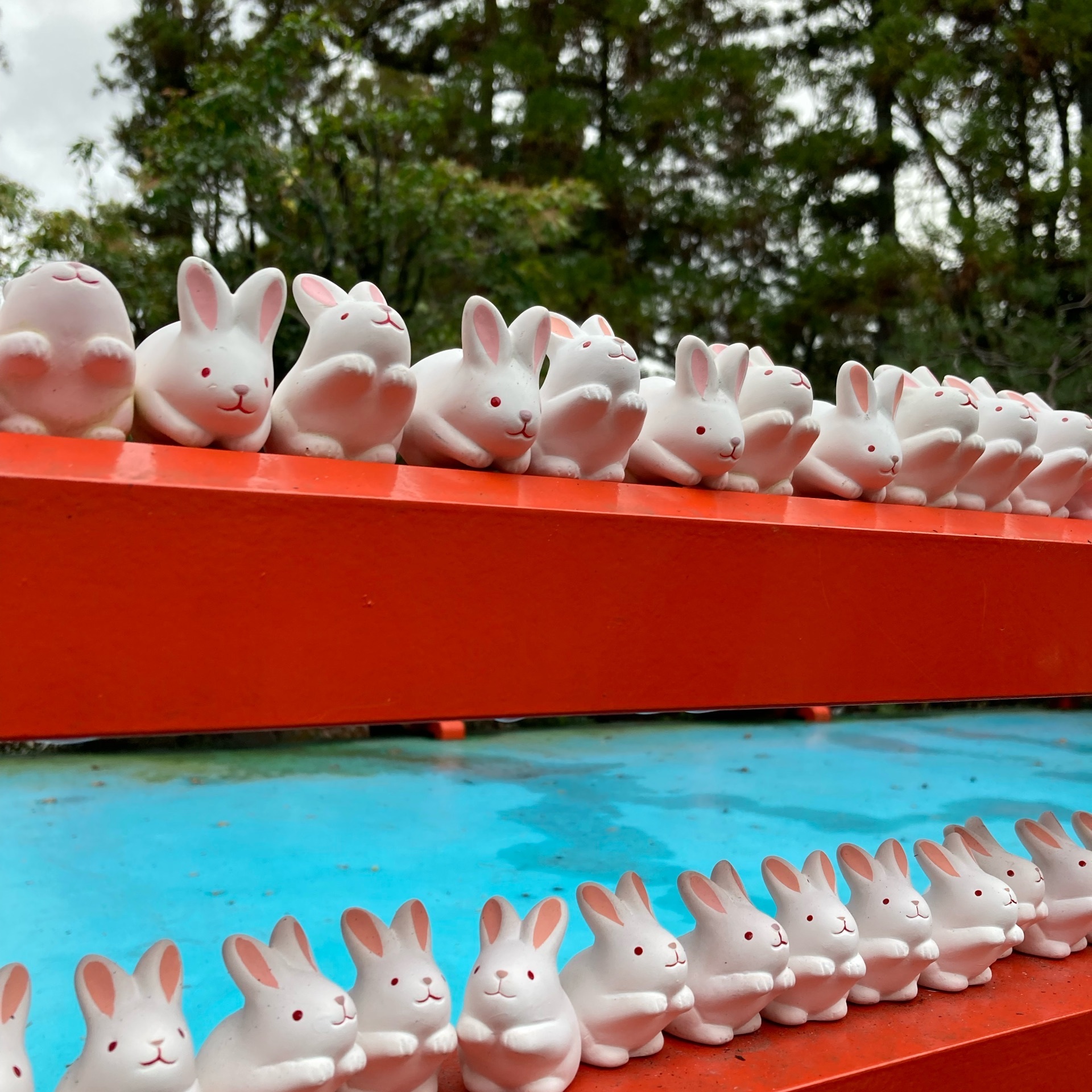 岡崎神社 狛犬の代わりに兎が迎えてくれます