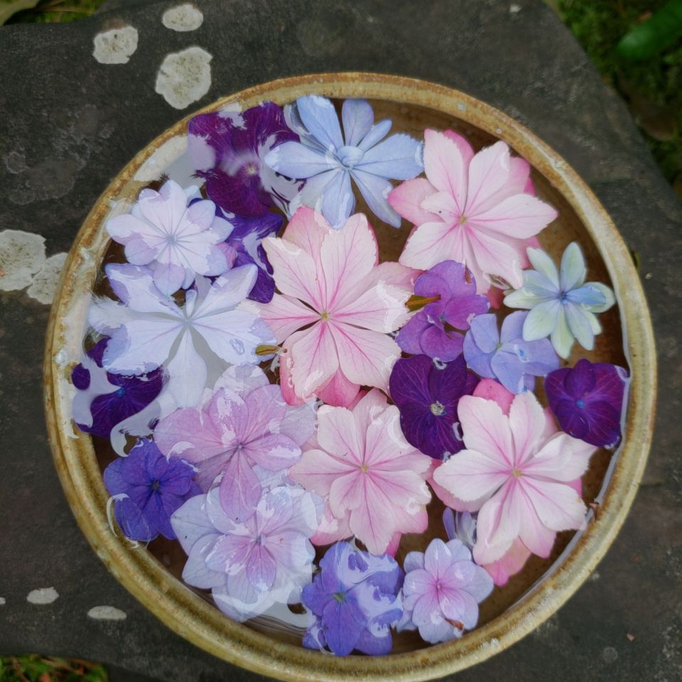 一条恵観山荘 映える花手水のある一条恵観山荘