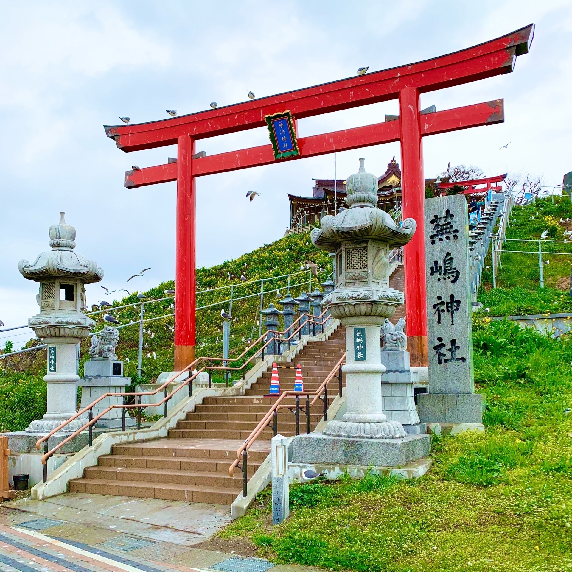 蕪嶋神社 天気が良くても傘必須 国の天然記念物