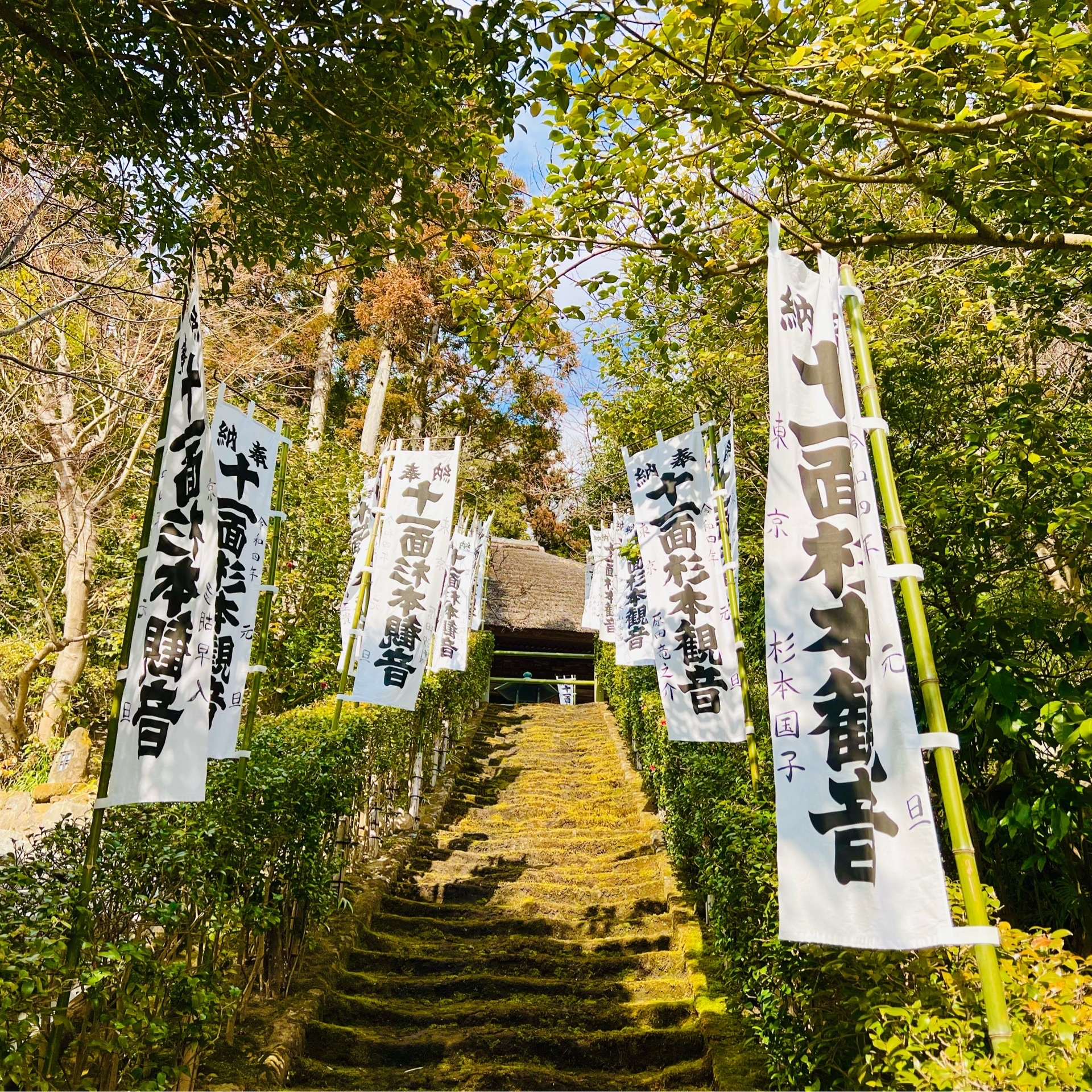 杉本寺 苔の階段が美しい 鎌倉最古の寺院