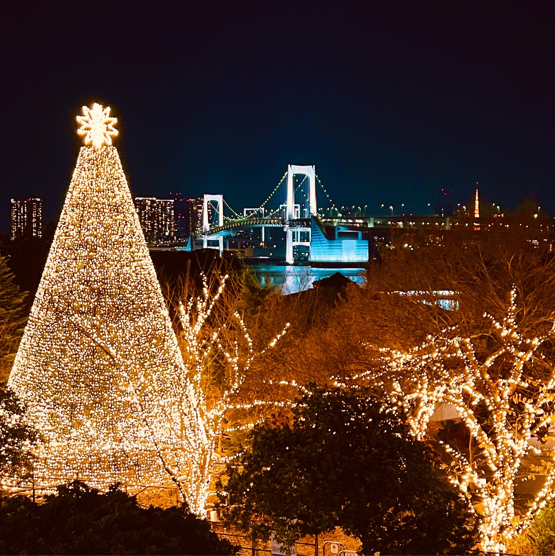 レインボーブリッジ Xmasならではの絶景