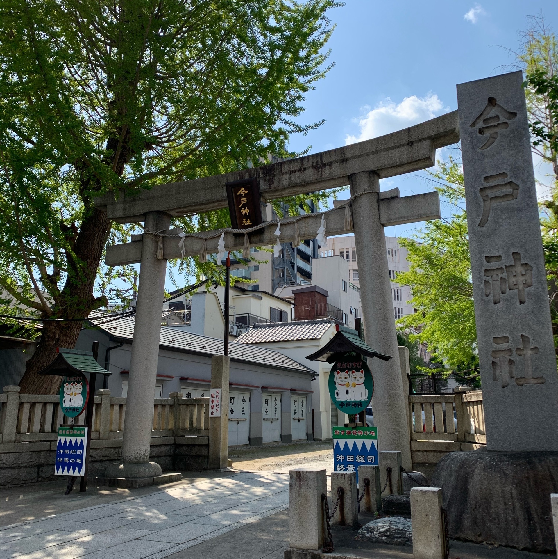 今戸神社 招き猫発祥の地 ナミちゃんに出会えたら幸運