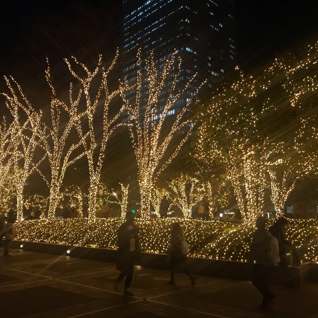 新宿テラスシティ イルミネーション2019 2020 日帰りイルミネーション 夜景ドライブ 新宿渋谷六本木お台場